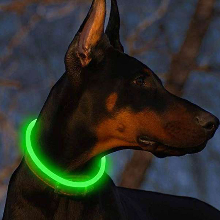LED Pet Collar - Luminous Blue