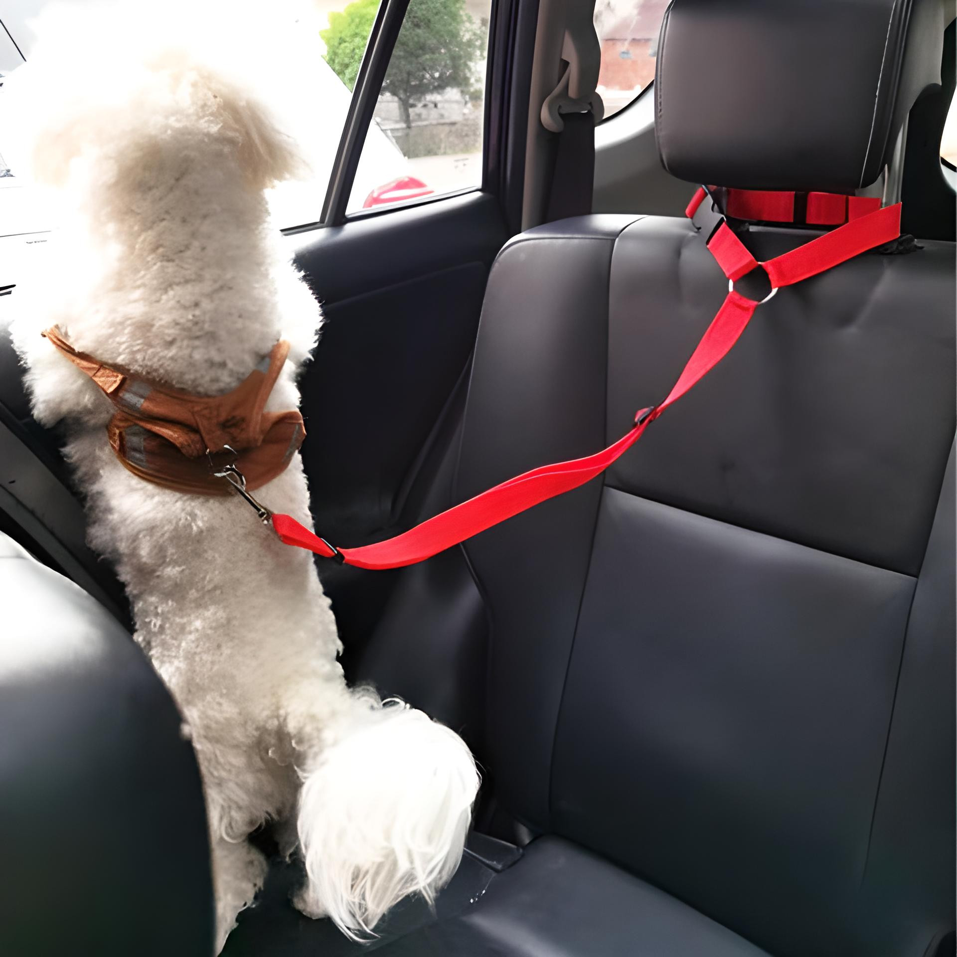 Dog car seatbelt with nylon strap and buckle