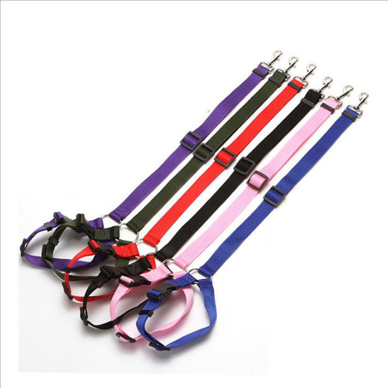Dog seatbelt nylon strap and clip close-up