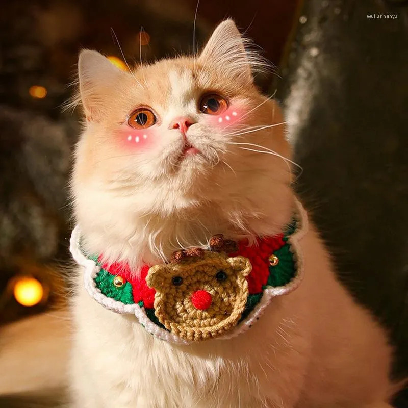 Festive Pet Collar for Cats