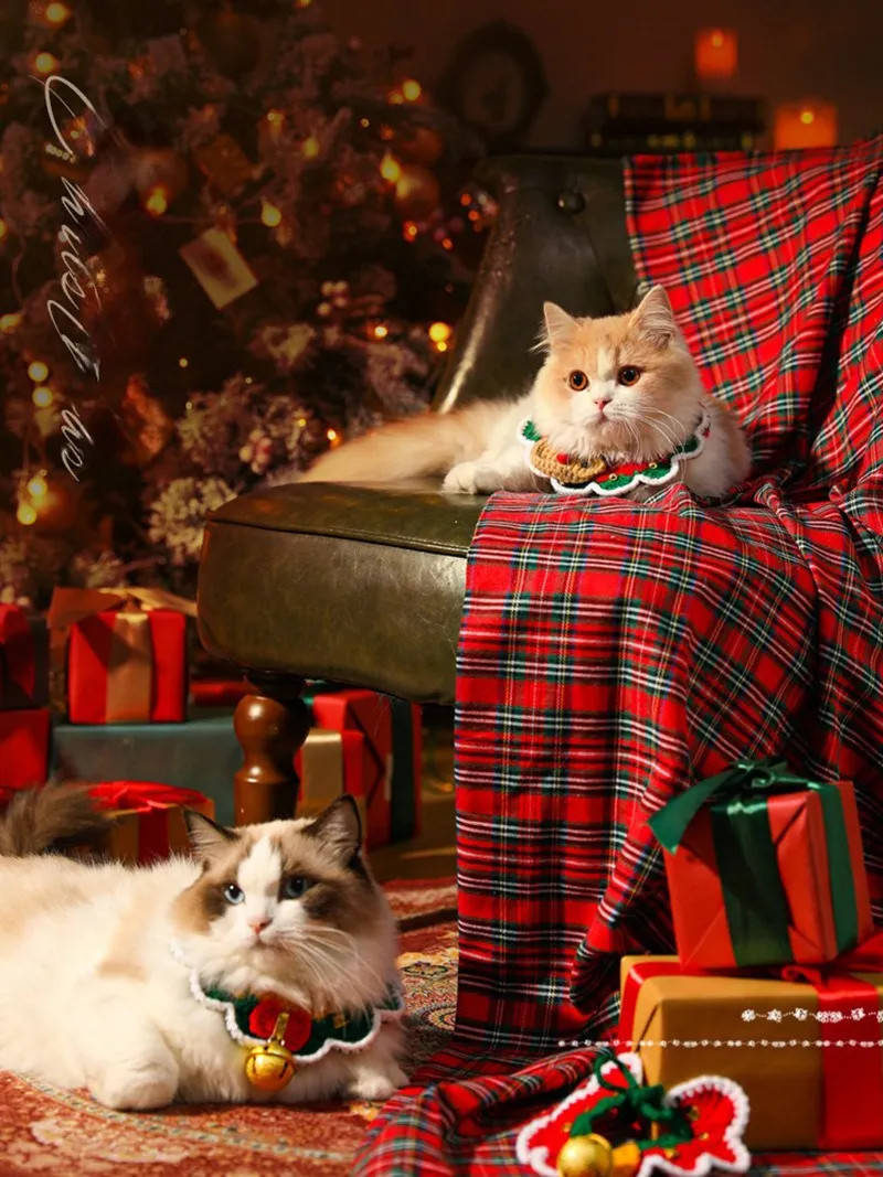 Christmas Costume Accessories for Pets