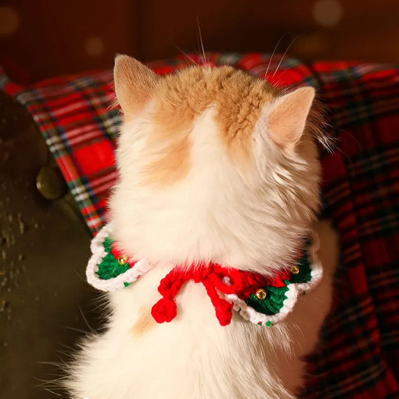 Holiday Pet Accessories Set