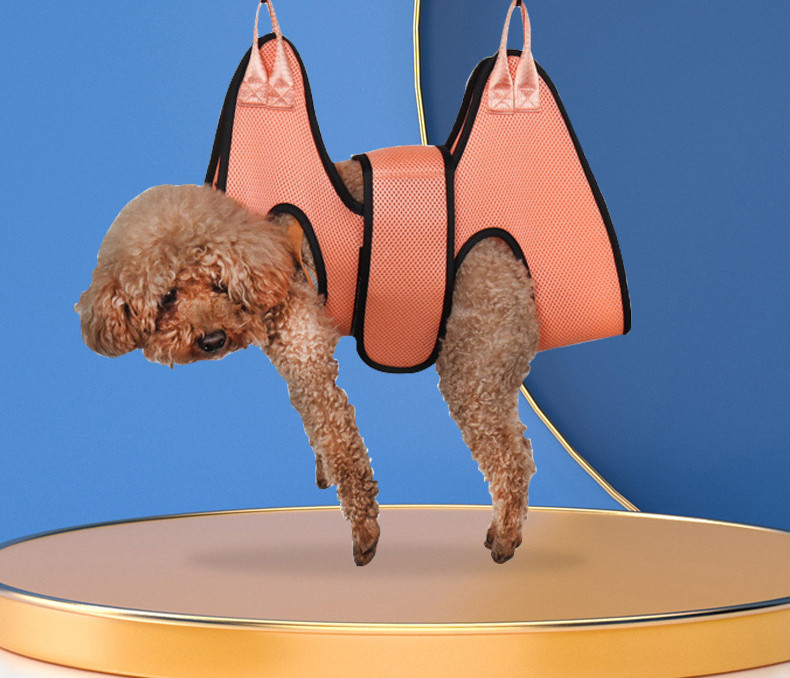 Close-up of grooming hammock with pet