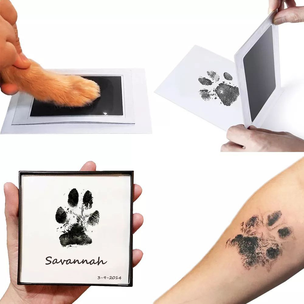 Paw Print Stamp Pad Kit