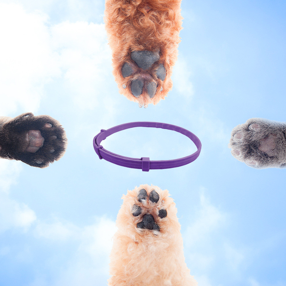 Calming Cat Collar Image 2