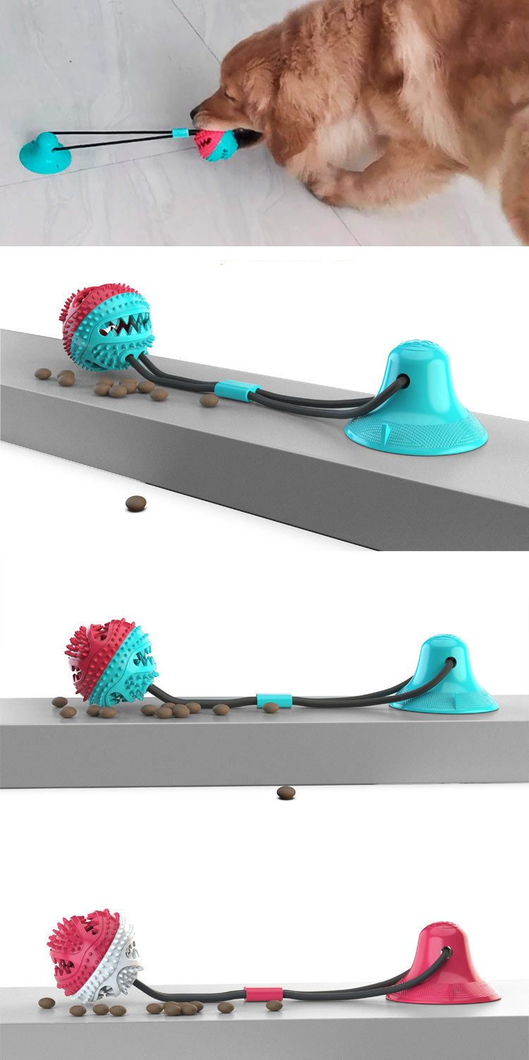 Suction Cup Dog Toy in use