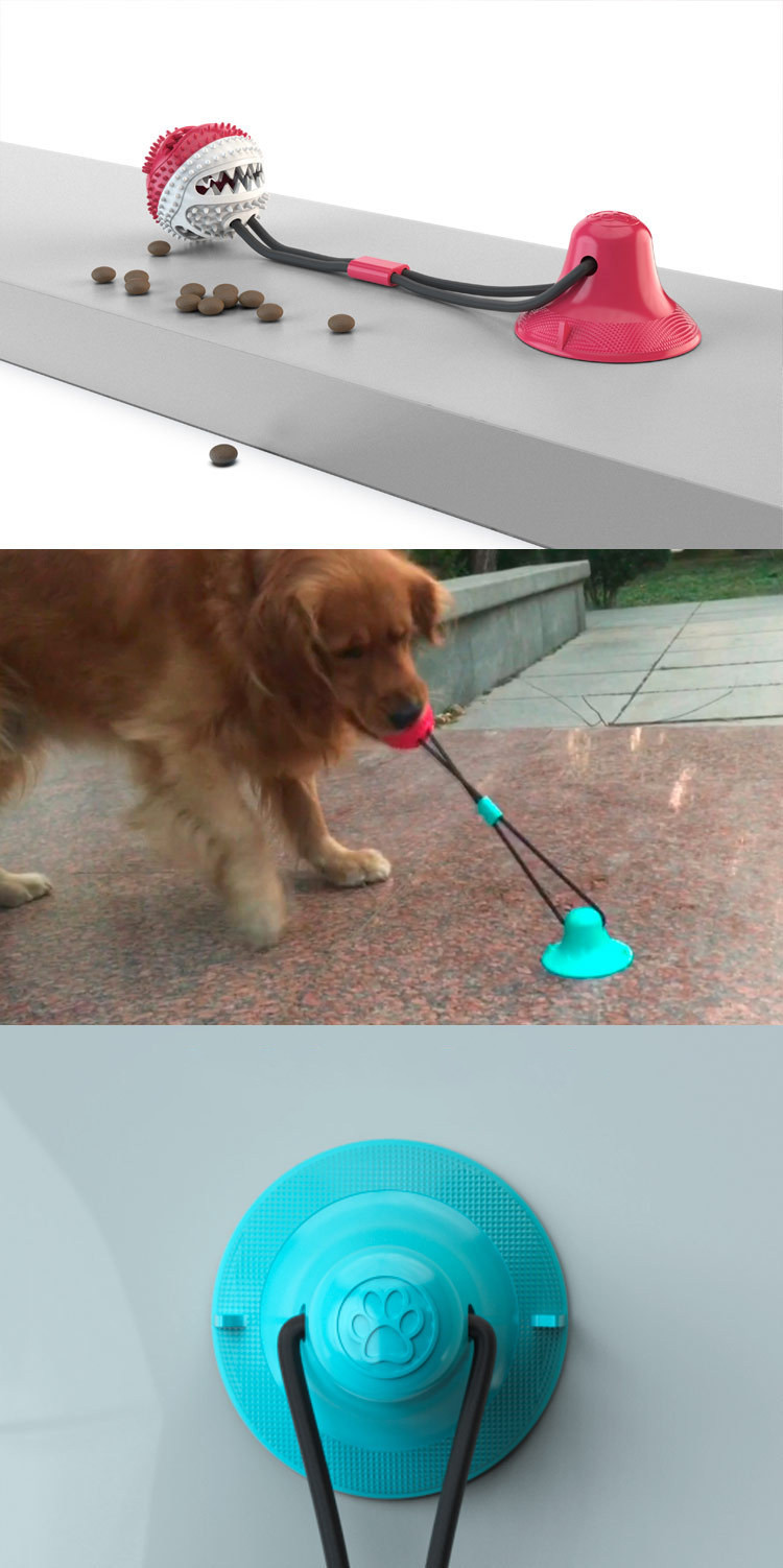 Close-up of suction cup dog toy