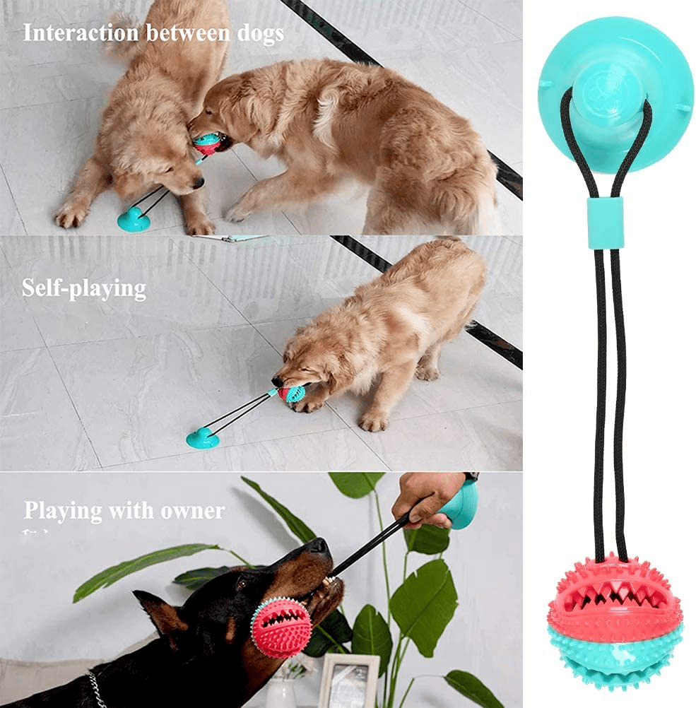 Suction Cup Dog Toy front view