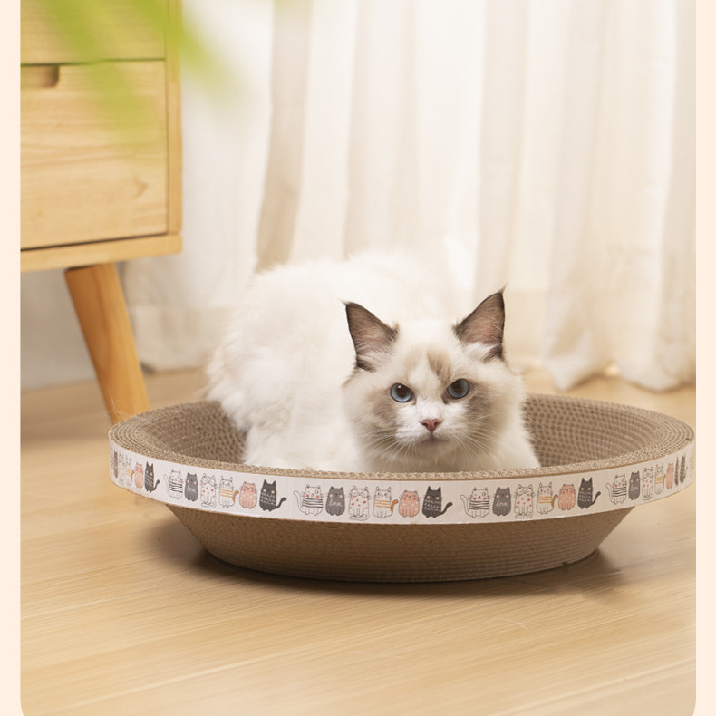 Cat scratching board top view