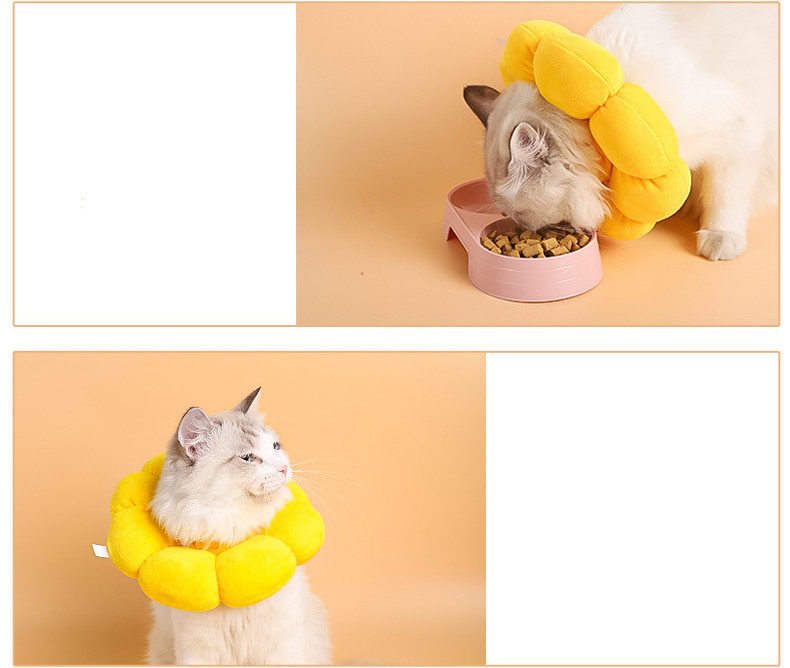 Sunflower cat collar packaging
