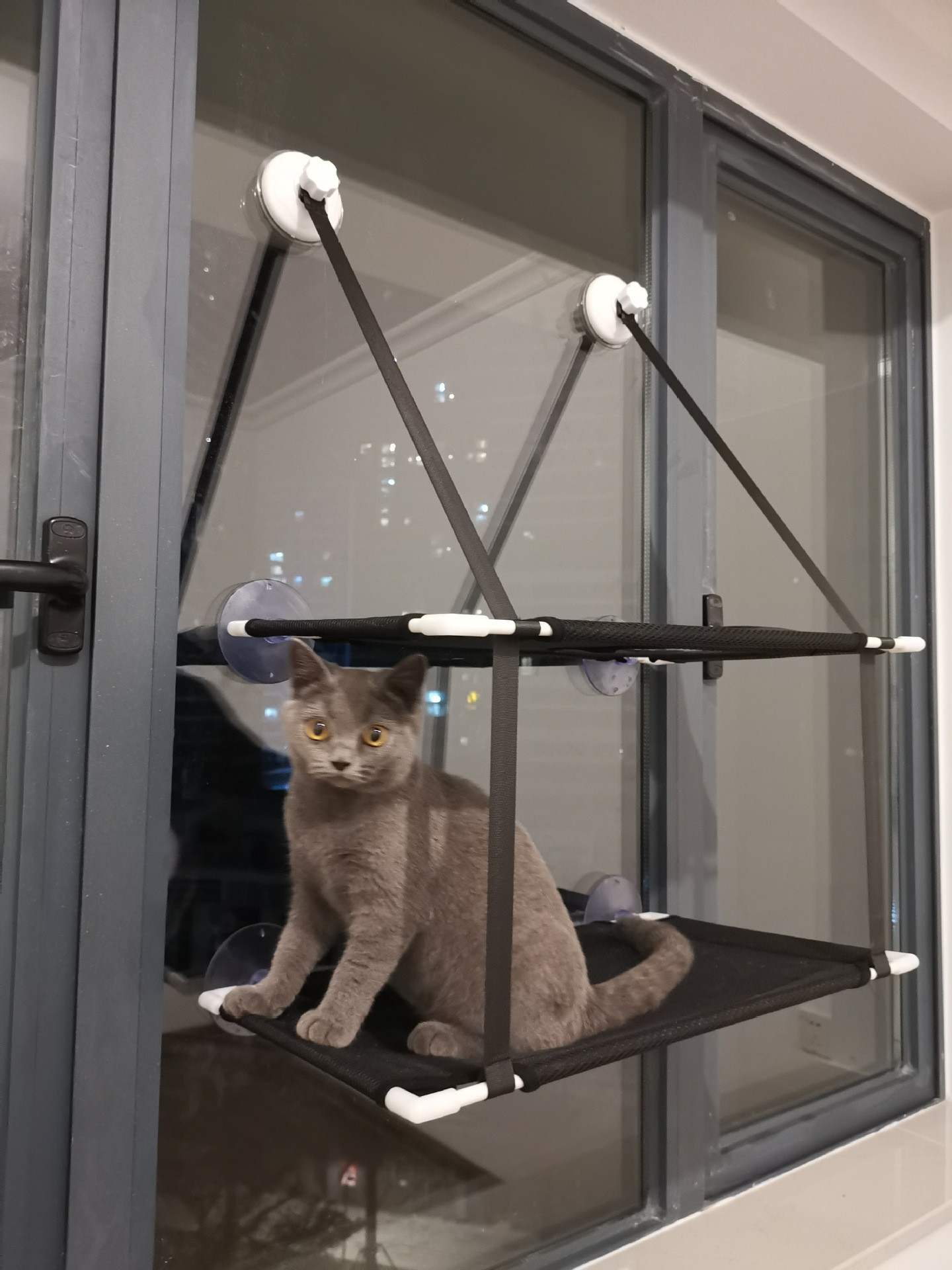 Double Layer Pet Hammock Image 5