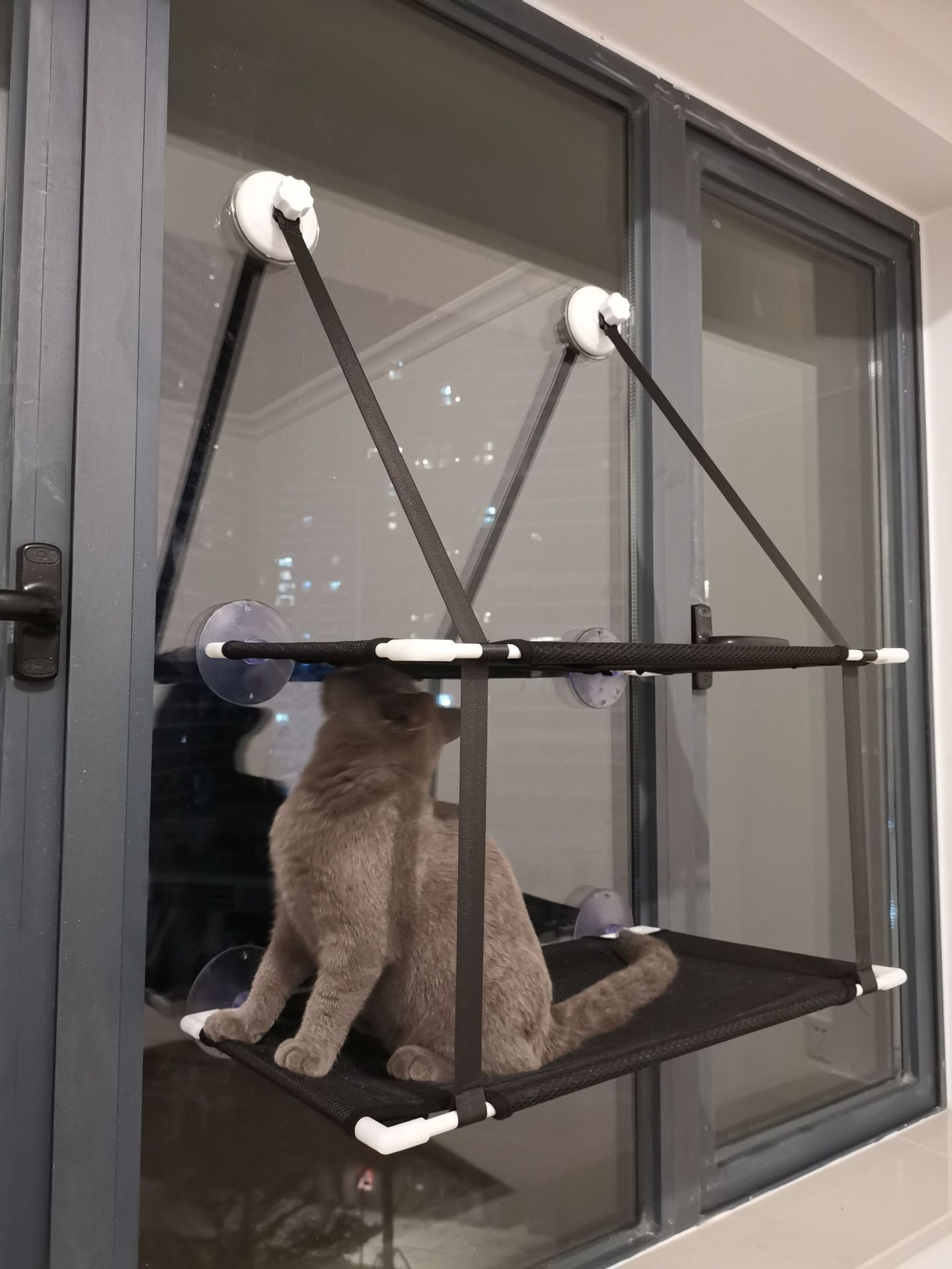 Double Layer Pet Hammock Image 7