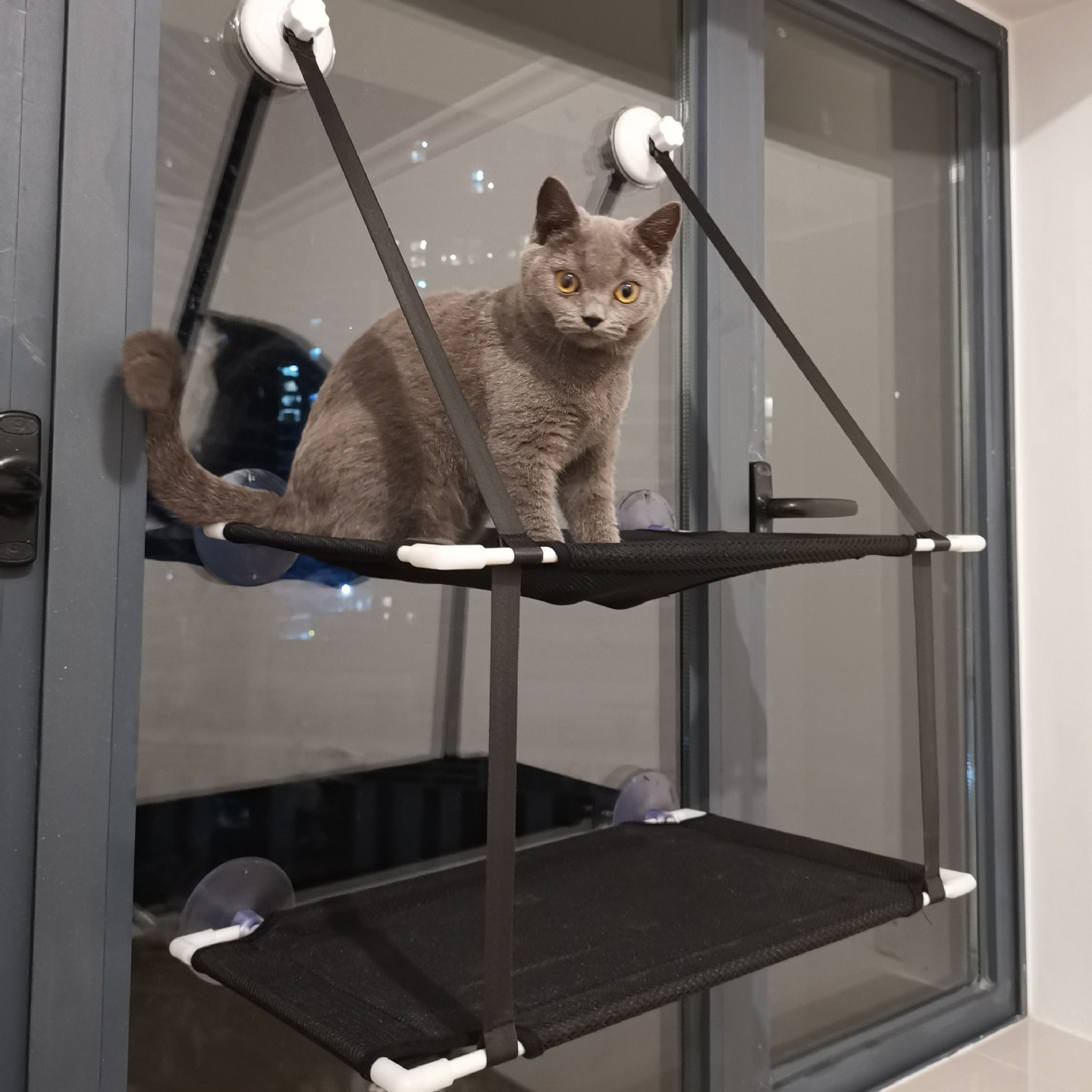Double Layer Pet Hammock Image 1