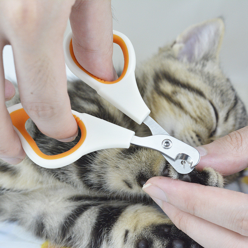 Pet Nail Scissors Image 1