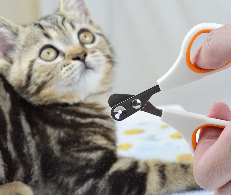 Pet Nail Scissors Image 3