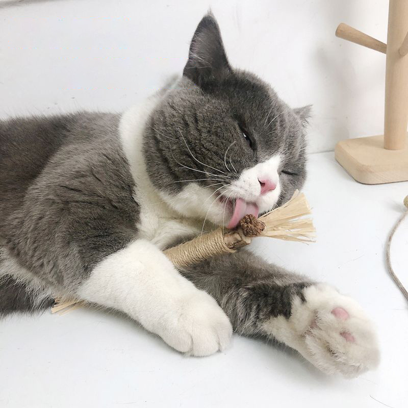 Natural Silvervine Cat Toy Image 1