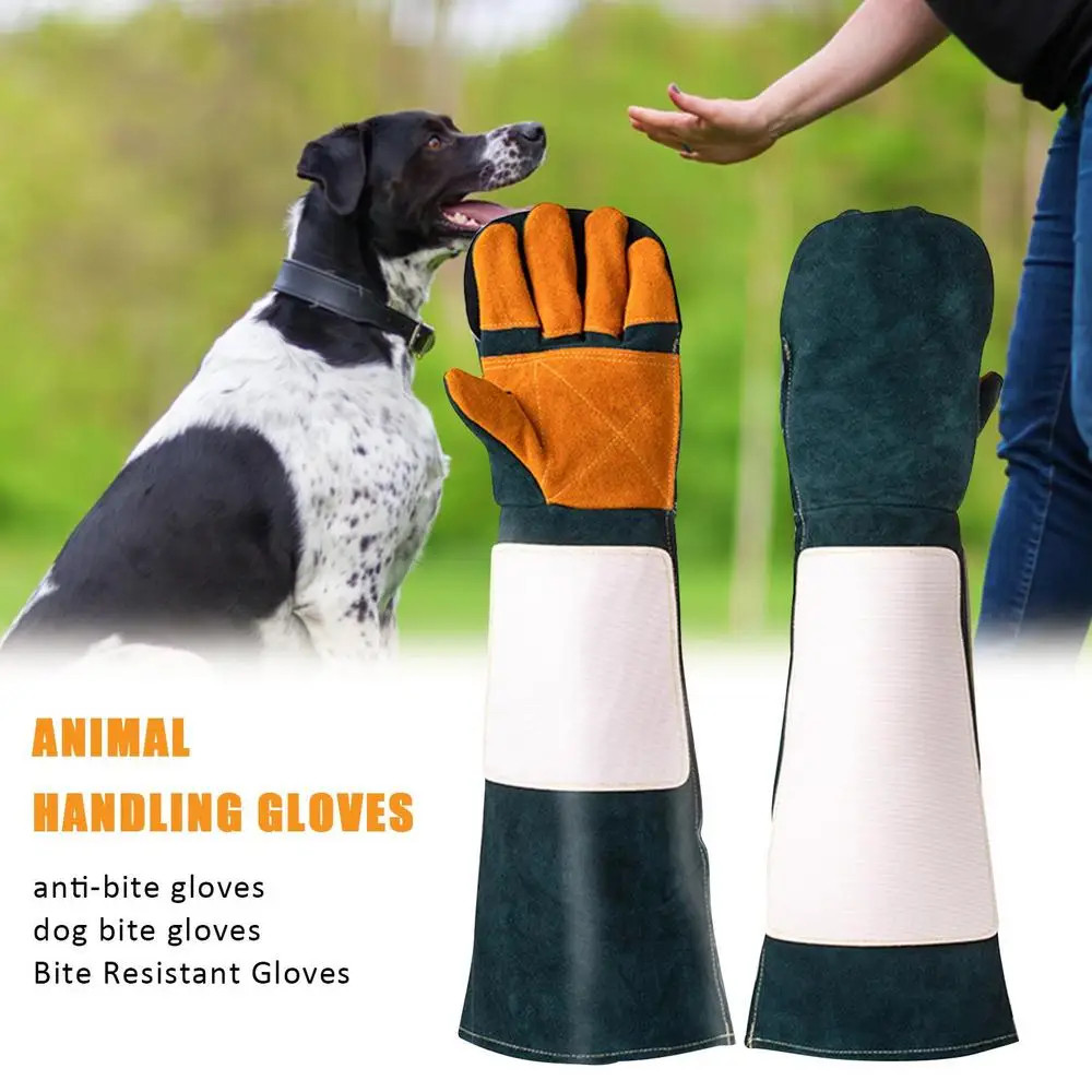 Animal Handling Glove Image 1