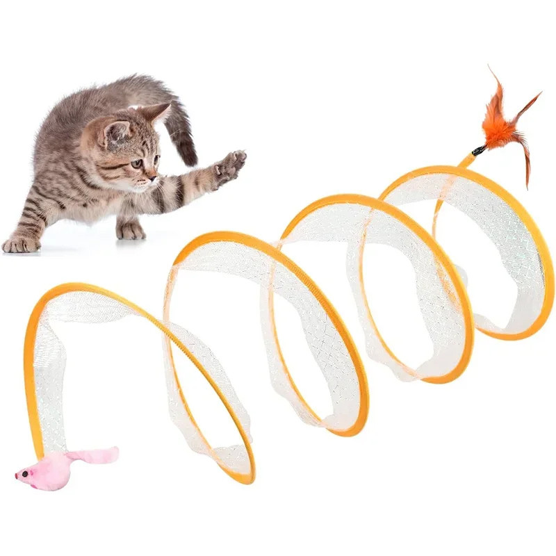 Cat Playing with Spiral Tunnel Toy