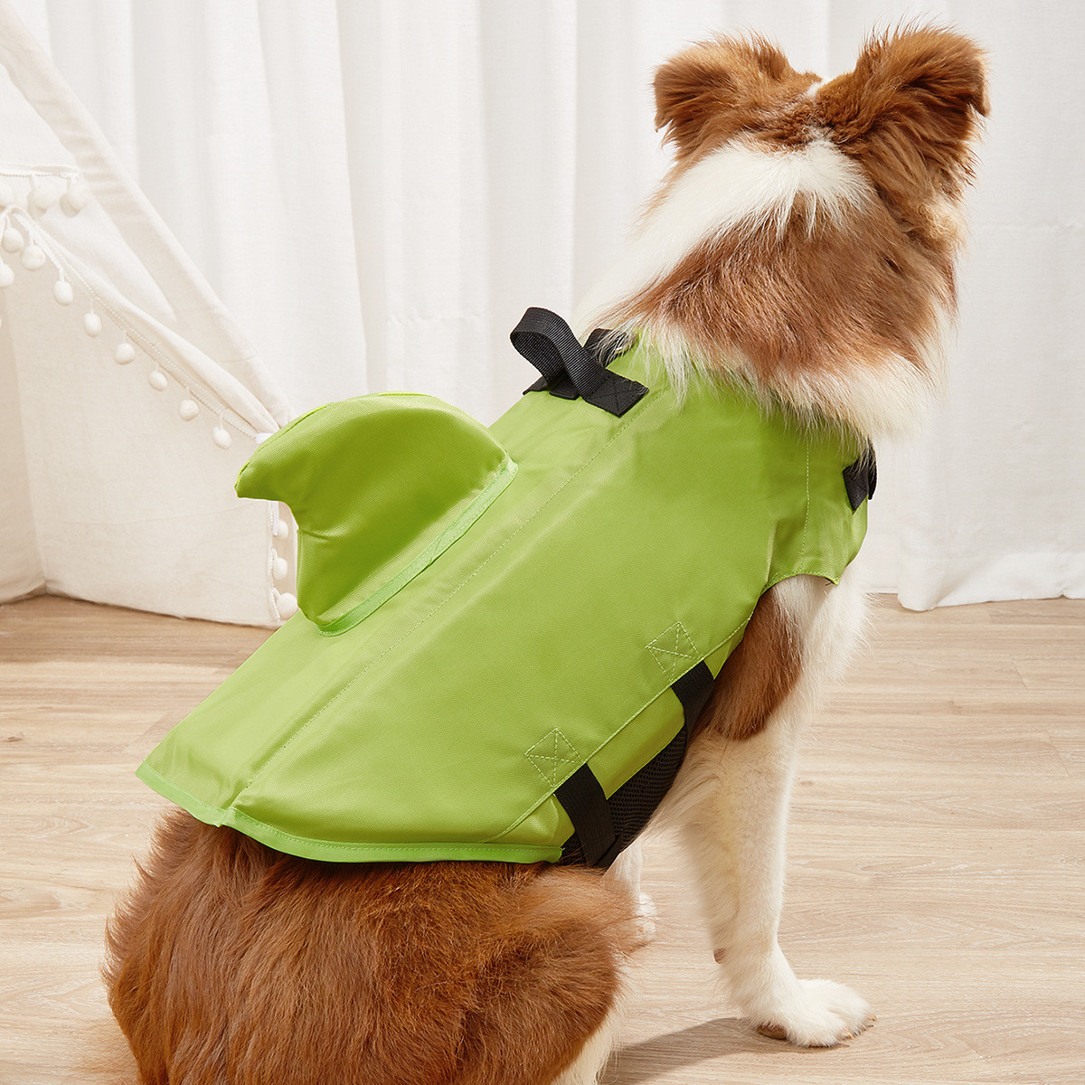 Dog wearing Shark Life Vest