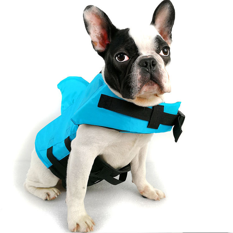 Shark Life Vest on dog by water