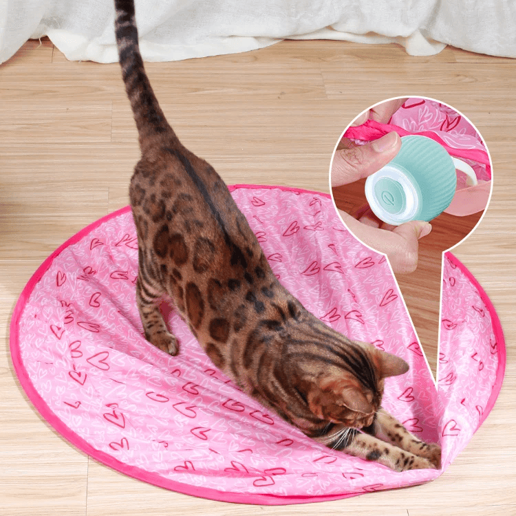 Smart Cat Ball Image 1
