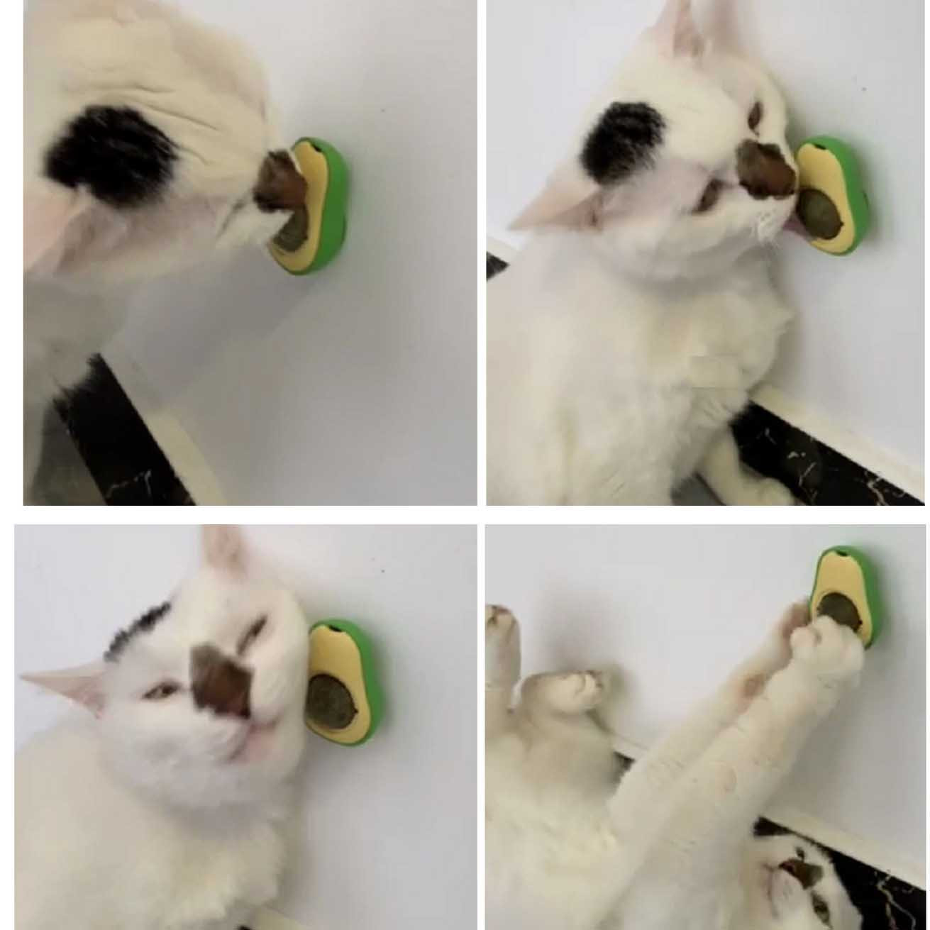 Avocado Catnip Wall Ball Cat Toy Image 1