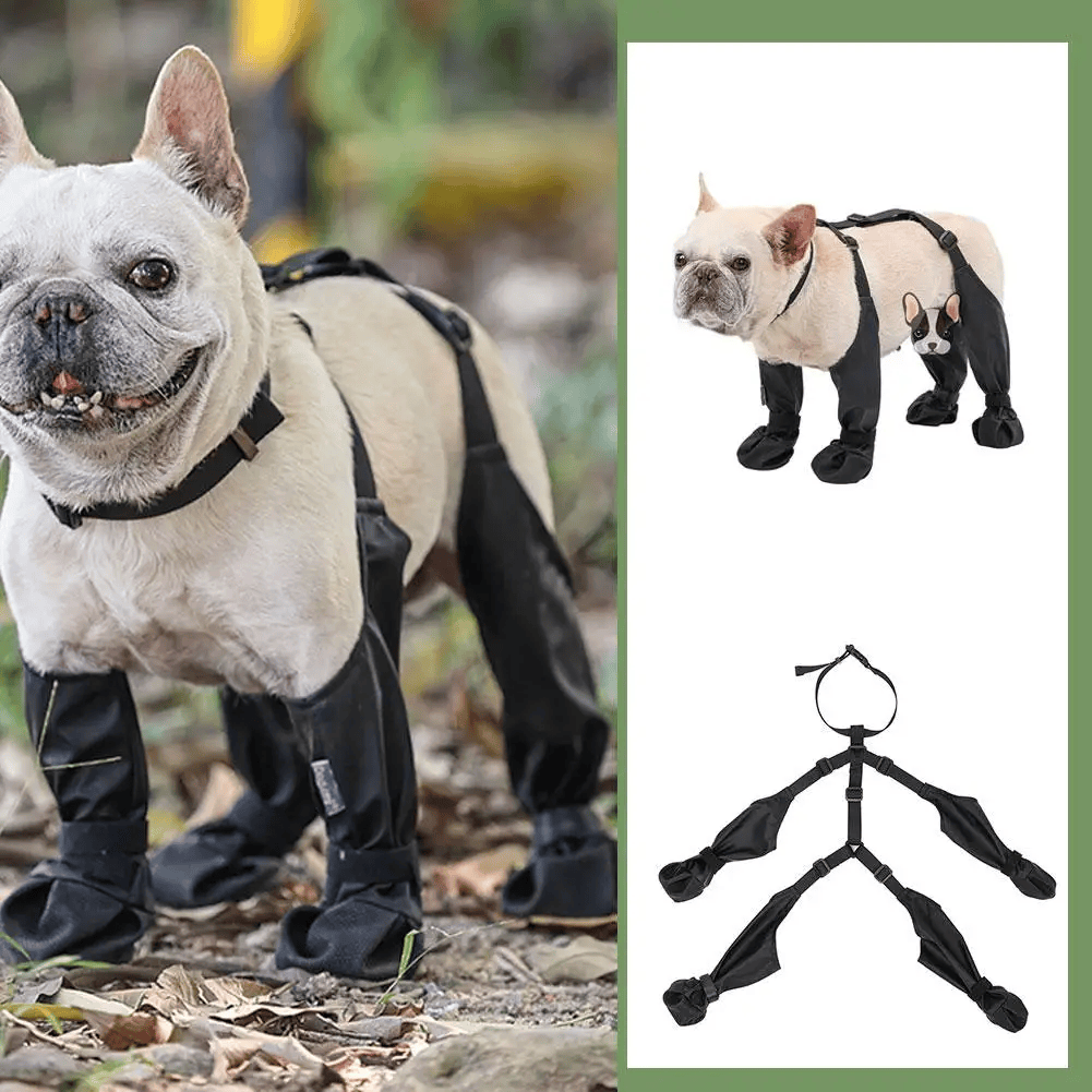 Adjustable connected dog boots