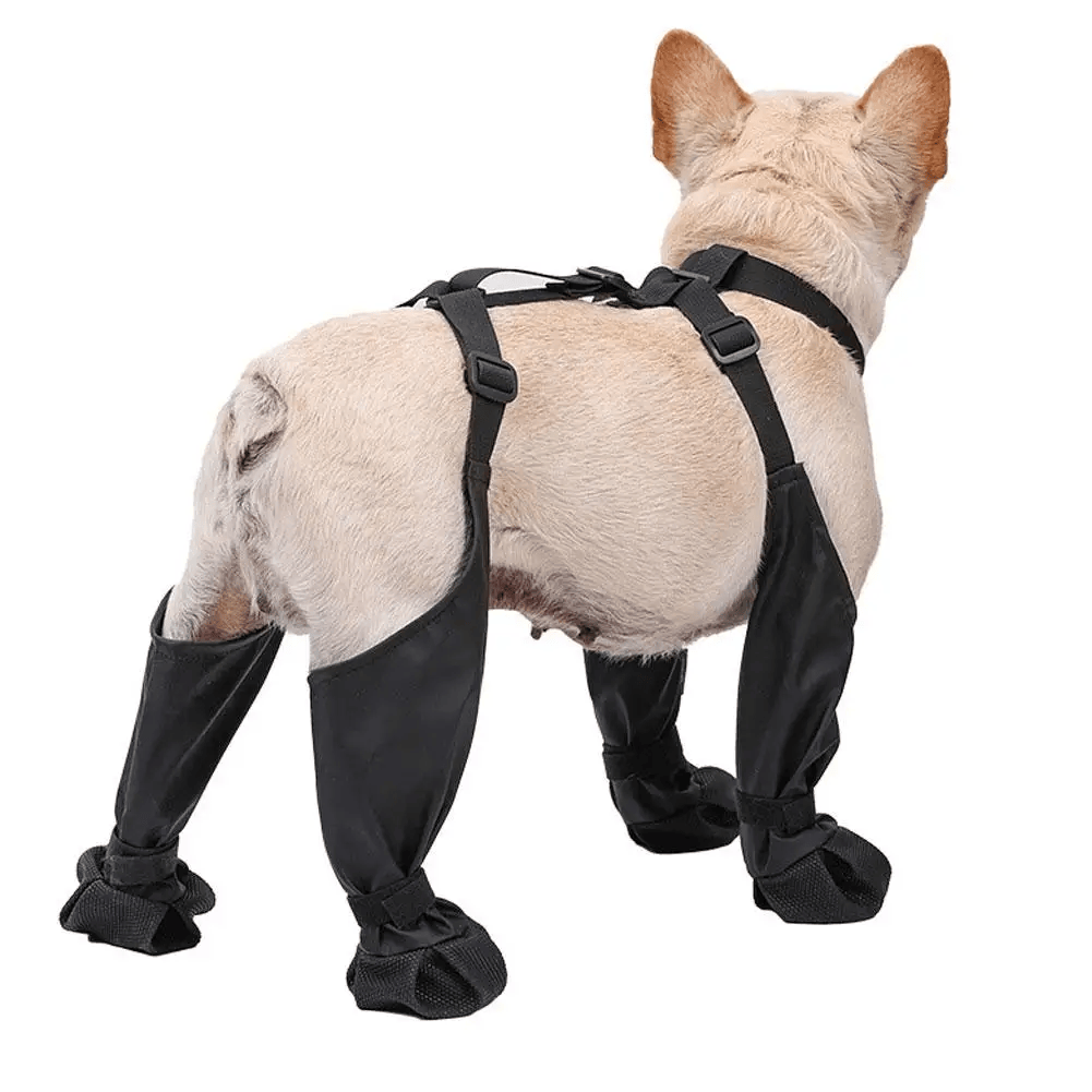 Dog boots image 4