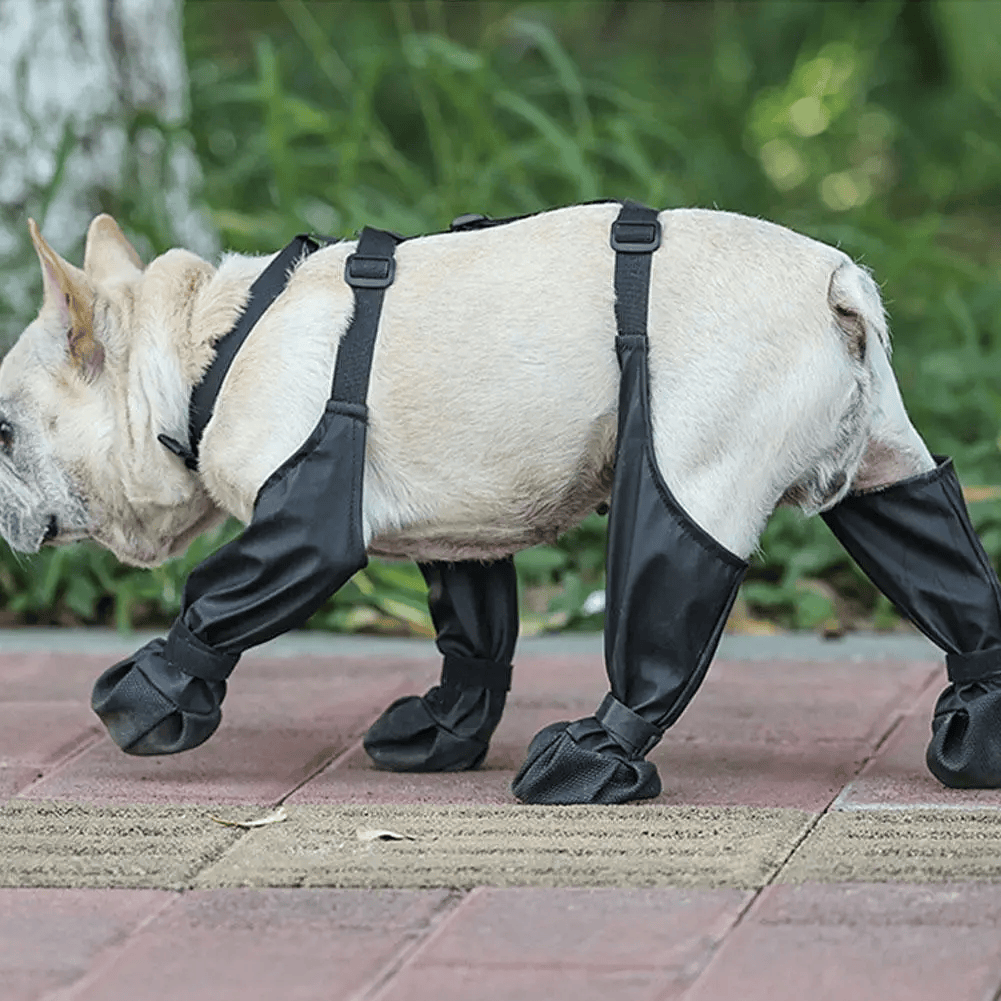 Dog boots image 2