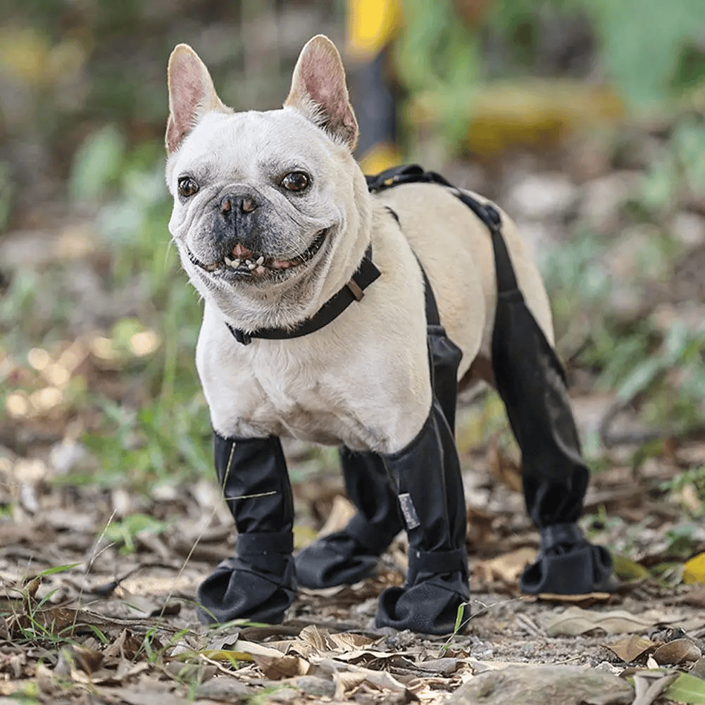 Dog boots image 3